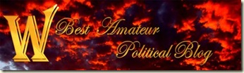 amateur-pol-blog-lite