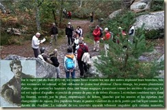orateur Stevenson forêt2