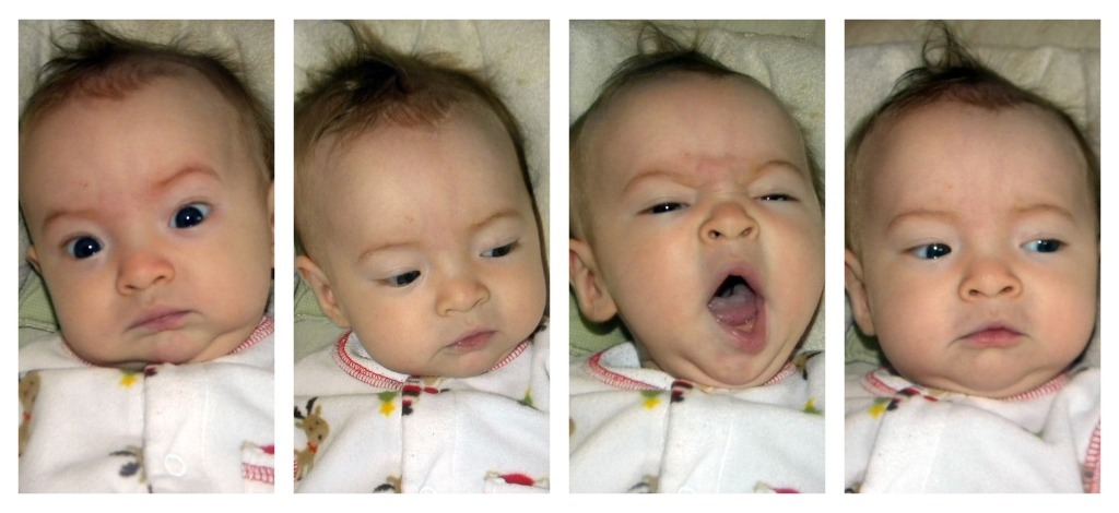 [cowlickAshlynncollage[11].jpg]