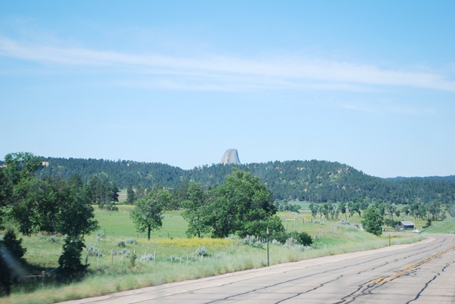 [DSC_1842[2].jpg]
