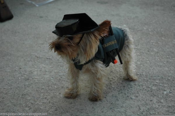 [DSC_0014[3].jpg]