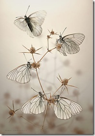 360391-5-goth-wings
