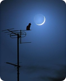moon2