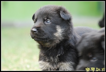 [DSC_0058BLOG[4].jpg]