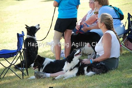 [DSC_0233[4].jpg]