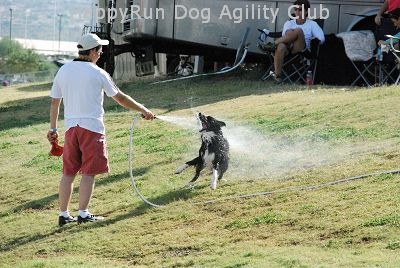 [water[3].jpg]
