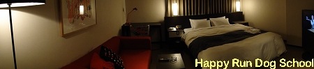 DSC01419