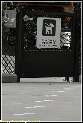 [DSC00485[3].jpg]