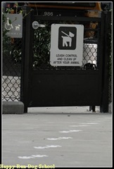 DSC00485