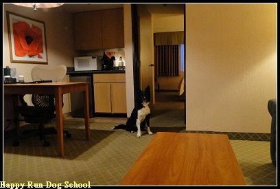 [DSC00510[4].jpg]