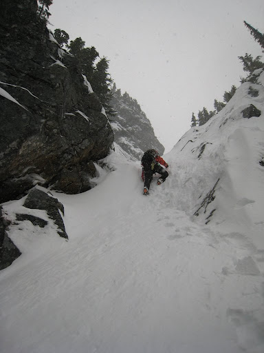 Ice step