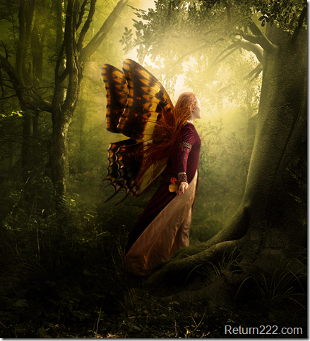 Forest_Fairy_by_NiKaZiNhA Forest_Fairy_by_NiKaZiNhA