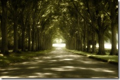 vfp120_road_to_wisdom