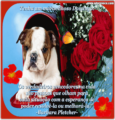 Recado Para Orkut - Amor: 1