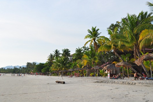 [DSC_13443.jpg]