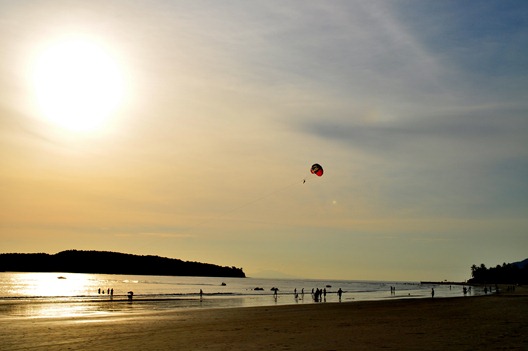 [DSC_13463.jpg]