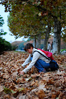 Aya gathers some leaves . . .
