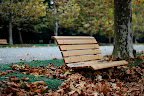 A bench nearly buried in fallen leaves