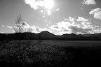 The moor is vast and empty, but it had a wide flowing spirit upon the careful observer