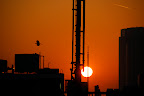 A crow flies by the setting Shinjuku Sun