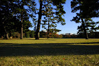 I was lying down flat on the grass to get this shot!