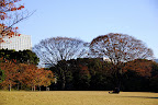 The hidden east garden of the palace is a secret place this person is glad for