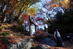 The start of the forest hiking path near Chichbu station