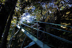 All of a sudden in the middle of nature a steep metal staircase arose.