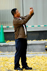 Standing on ginko leaves photographing ginko leaves