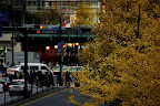 It seems weird to see touches of autumn in the heart of the city