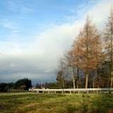 史特靈 City of Stirling