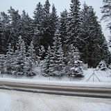 Sniegas Telsiuose