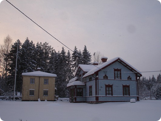 DSC02982