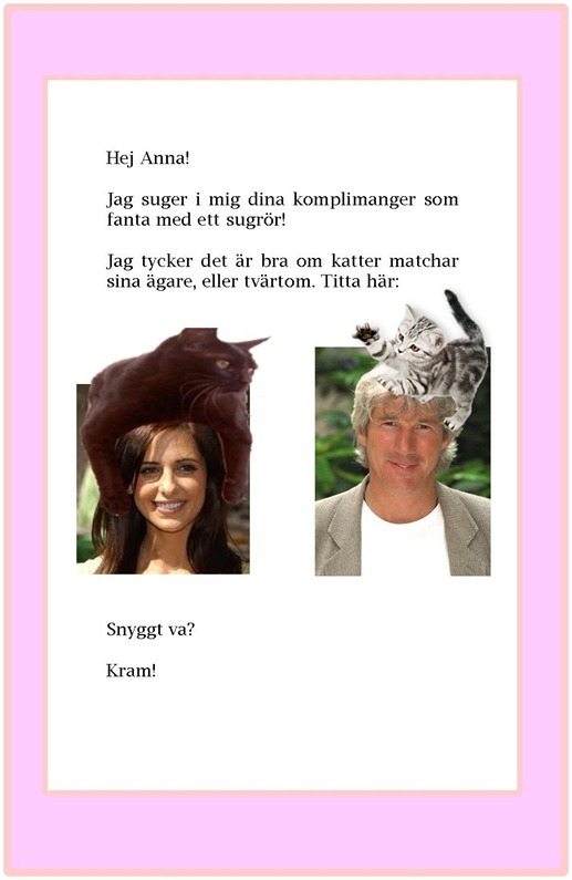 Brev7