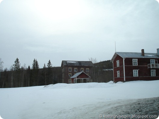 DSC05342