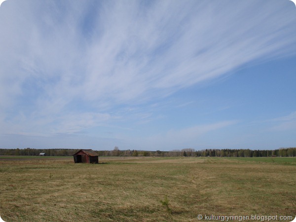 DSC05410