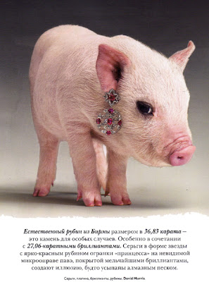 porquinhavogue02.jpg