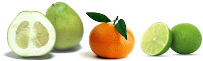 citricos-florais.jpg
