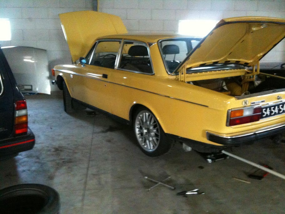 [Afbeelding: IMG_0277sdd2.JPG]