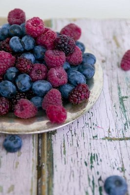 [shannonfrickeberries[1].jpg]