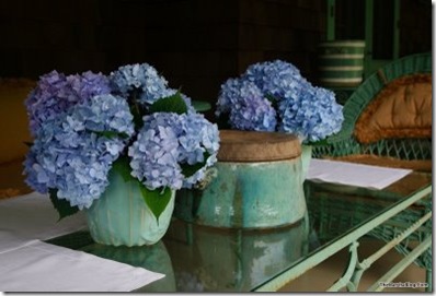 martha-blog-hydrangeas