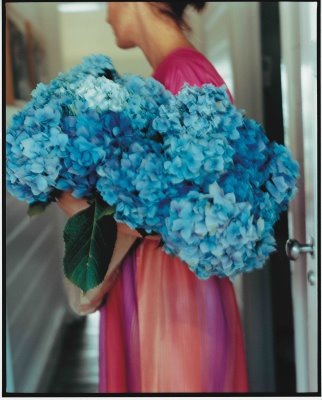 [shannon fricke Blue Flowers[3].jpg]