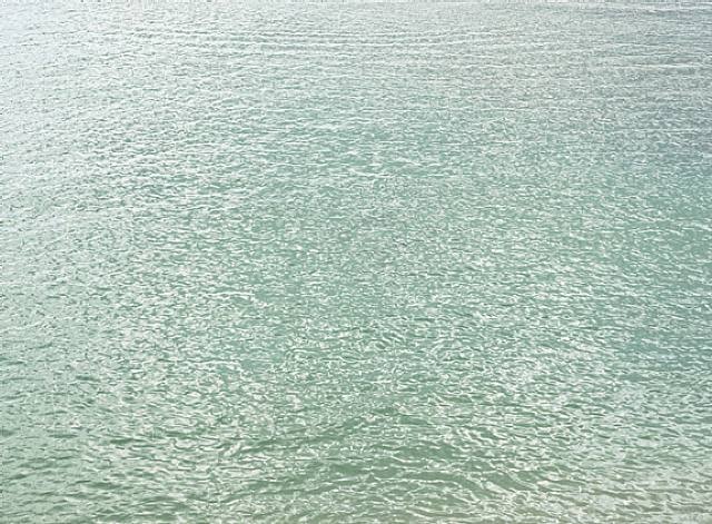 [RichardMisrachOntheBeachseriesUntitl.jpg]