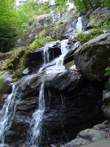 [DSC01120[3].jpg]