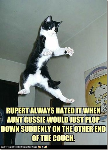 funny-pictures-rupert-always-hated-it-when-aunt-gussie-would-just-plop-down-suddenly-on-the-other-end-of-the-couch