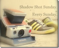 Shadow Shot Sunday