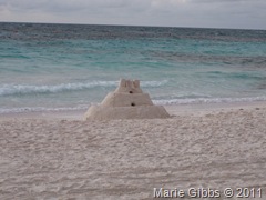 IMG_1520 IMG_1520