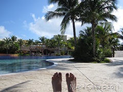 IMG_1537 IMG_1537