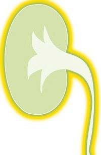 [NeonKidney[4].jpg]