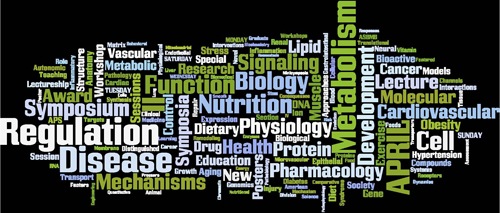 [Blog WordCloud[5].jpg]
